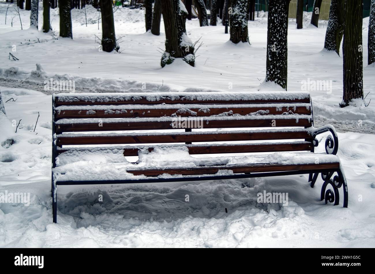Outdoor bench in the snow in the park, Moscow Stock Photo