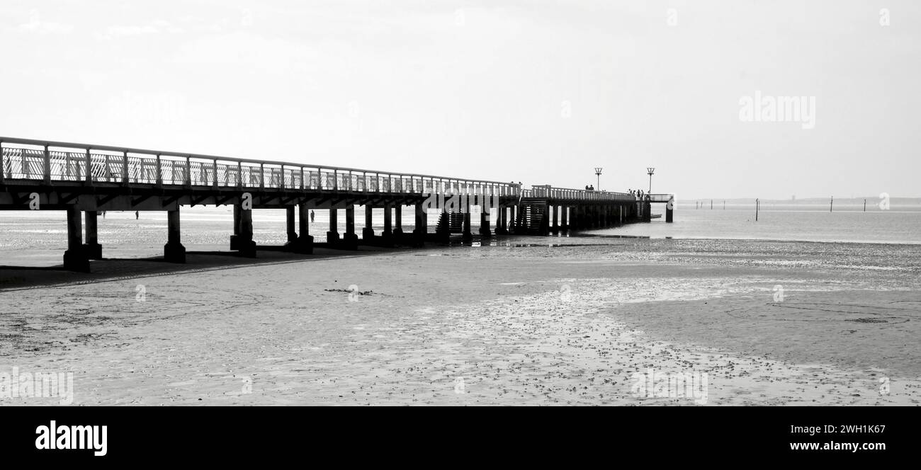 View of a pier in the Arcachon basin. The beach is at low tide. The wooden sticks sticking out of the water are the signs for the oyster beds. Stock Photo