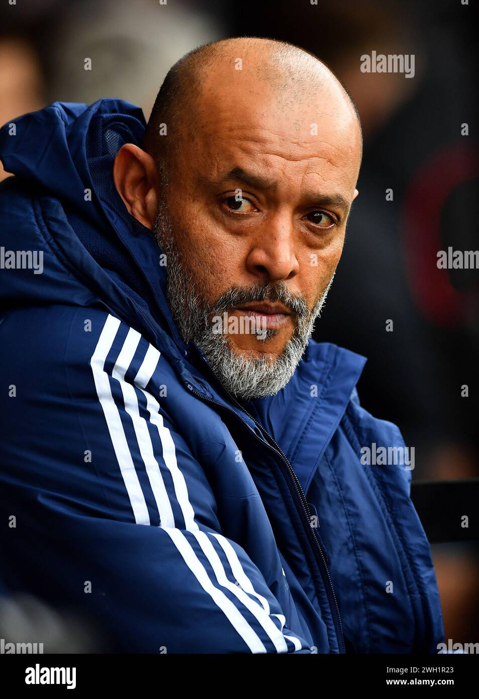 Nuno espirito santo forest hires stock photography and images Alamy