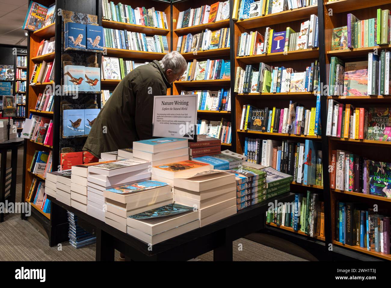 A mature male shopper browsing inside a Waterstones bookshop in the UK ...