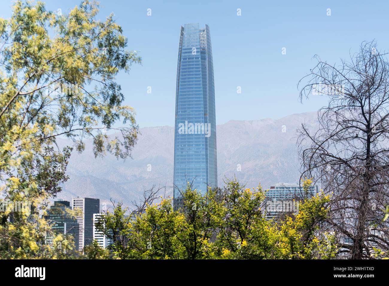 Costanera Tower, Chile's most iconic building, stands out in the landscape seen from Santiago's Metropolitan Park in the early days of summer. Stock Photo