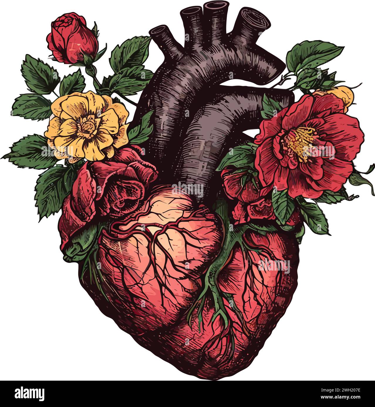 Human heart. The heart with the venous system and flowers. Anatomy ...