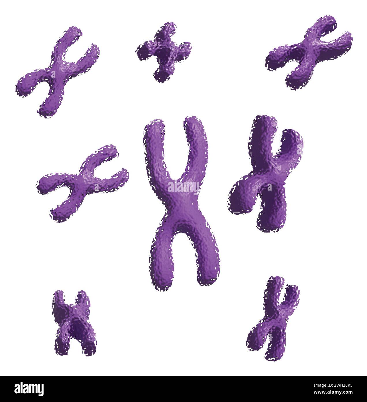 X Chromosomes icon Stock Vector