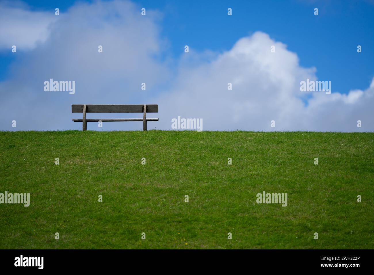 Meditation. Lonely empty wooden bench. Peaceful and quiet place. Loneliness. Calm place. Rest and relax Stock Photo