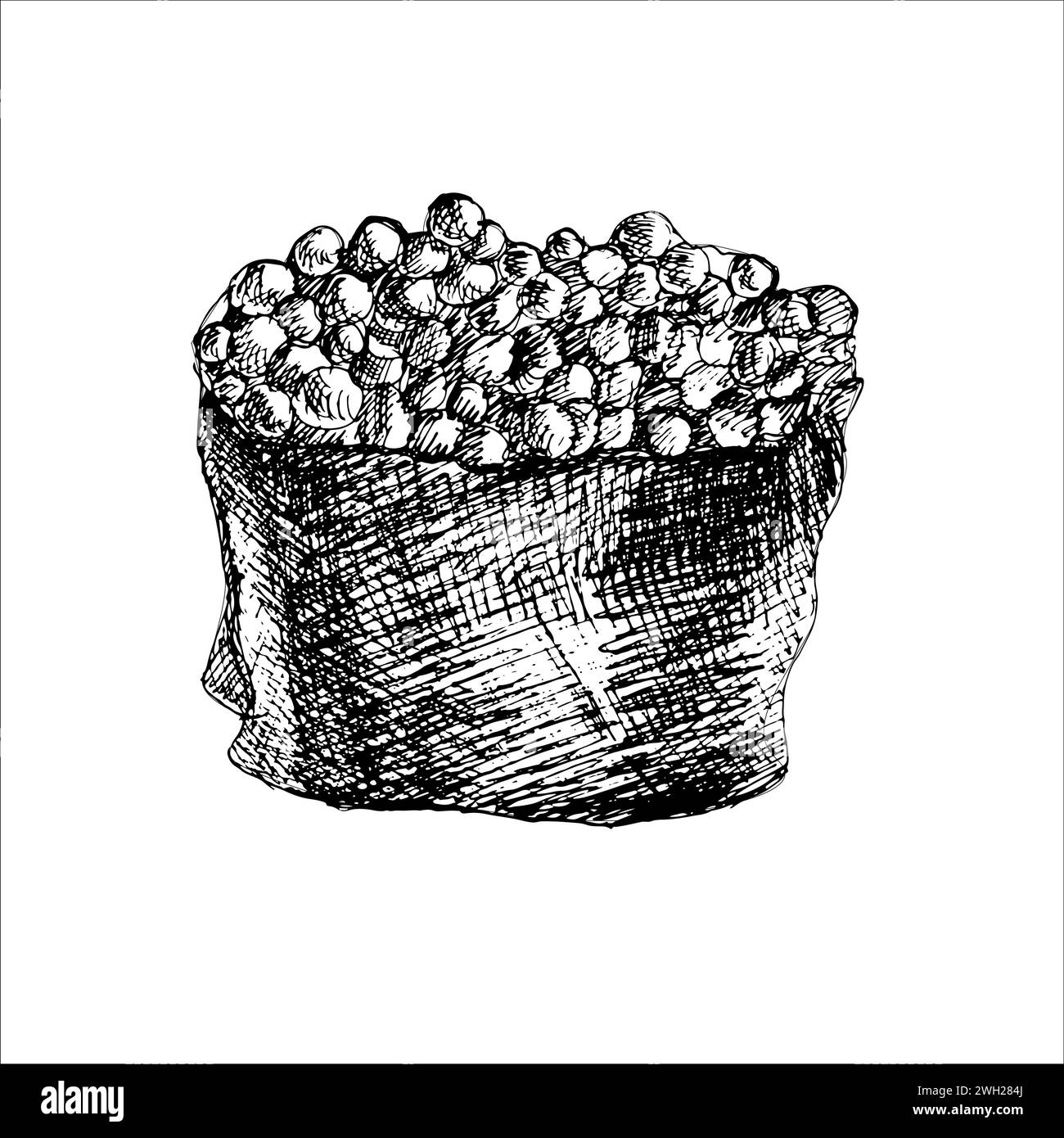 Japanese traditional salmon roe vector illustration. Hand drawn food