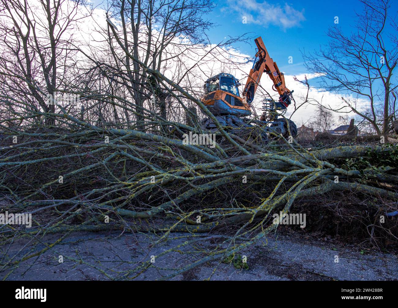 07 February 2024, MecklenburgWestern Pomerania, Rostock The first