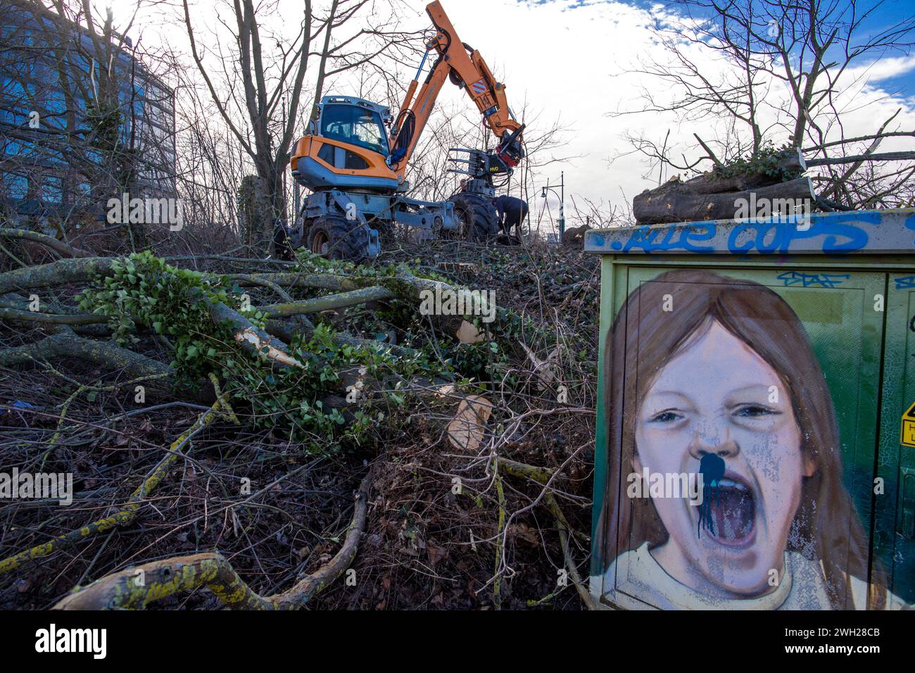07 February 2024, MecklenburgWestern Pomerania, Rostock The first