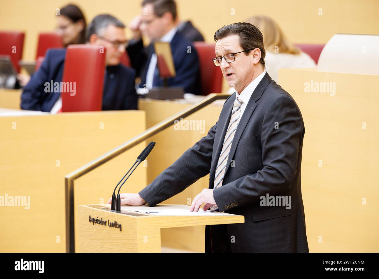 Munich, Germany. 07th Feb, 2024. Dieter Arnold (AfD) speaks during a
