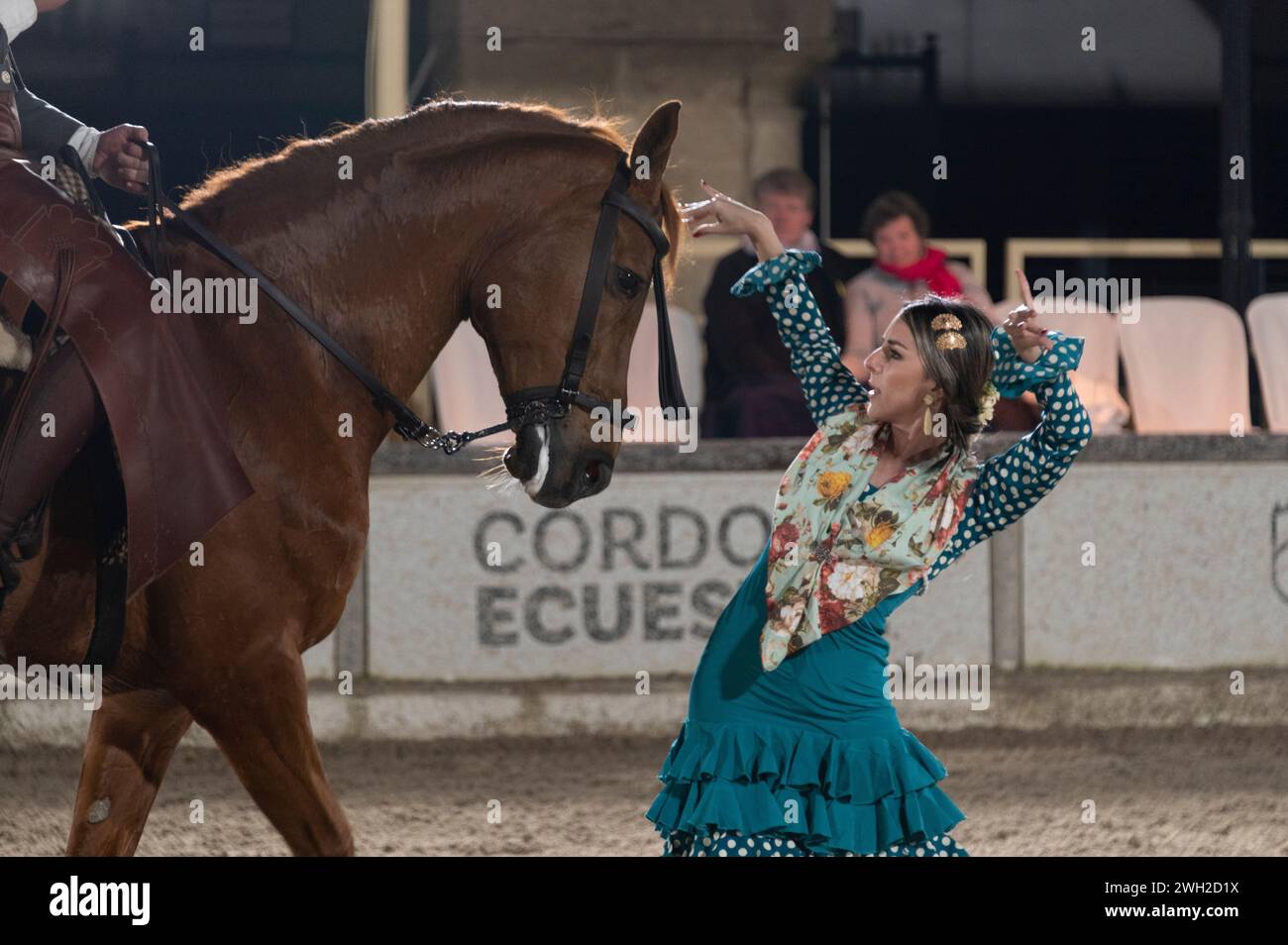 A flamenco dancer comes face-to-face with an Andalusian horse during a dressage public performance,  'Passion and Spirit of the Andalusian Horse' Eque Stock Photo
