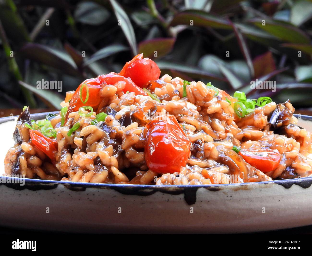 A vegan risotto made with rice, caramelized onion, balsamic eggplant