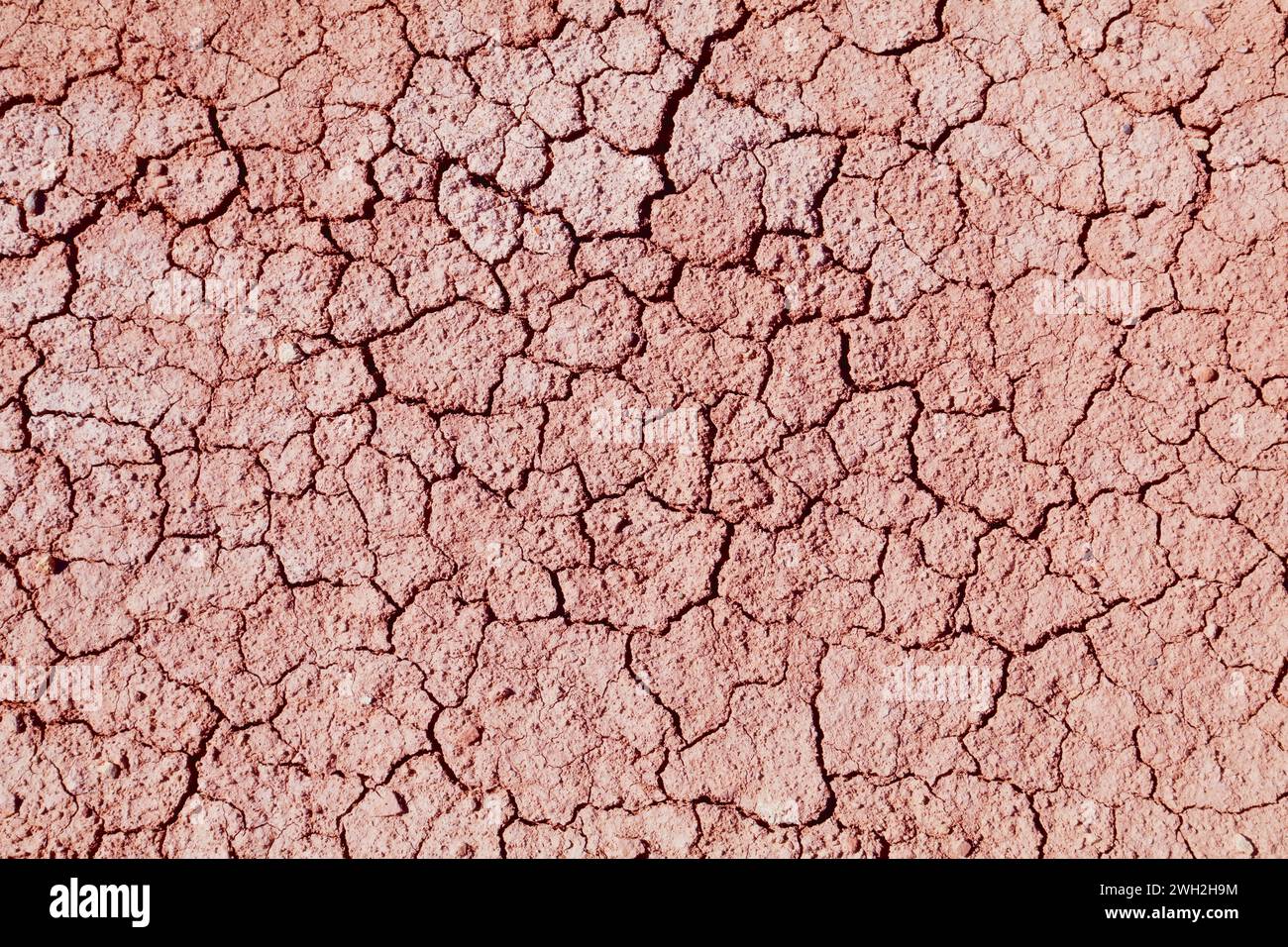 Dried mud surface - dry riverbed earth texture. Drought in India. Stock Photo