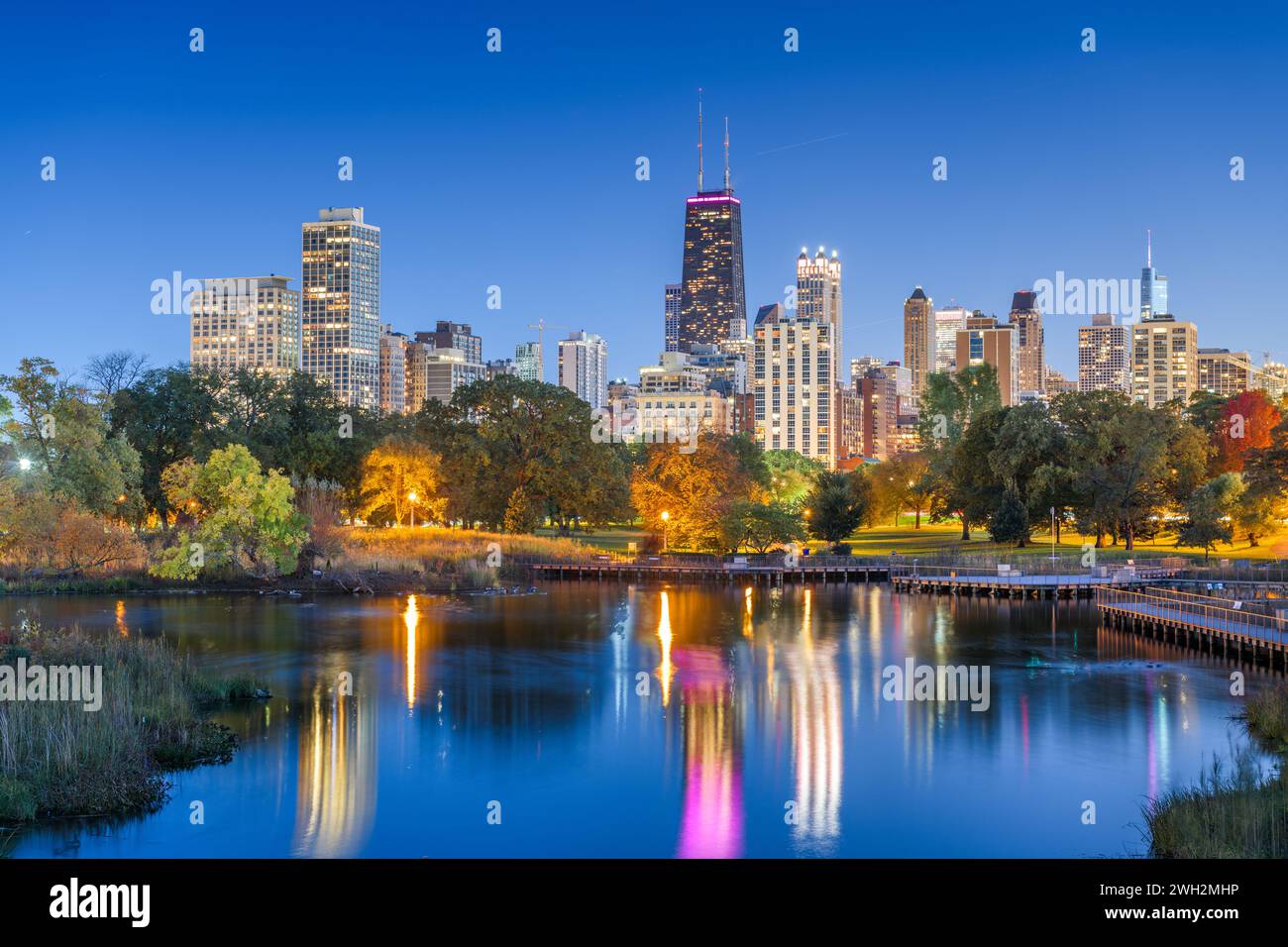 Downtown chicago night hi-res stock photography and images - Alamy