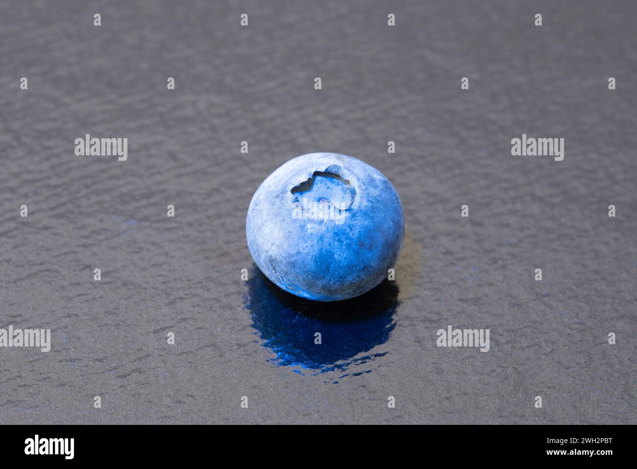 Close up of single blueberry on a black reflective background. Stock Photo