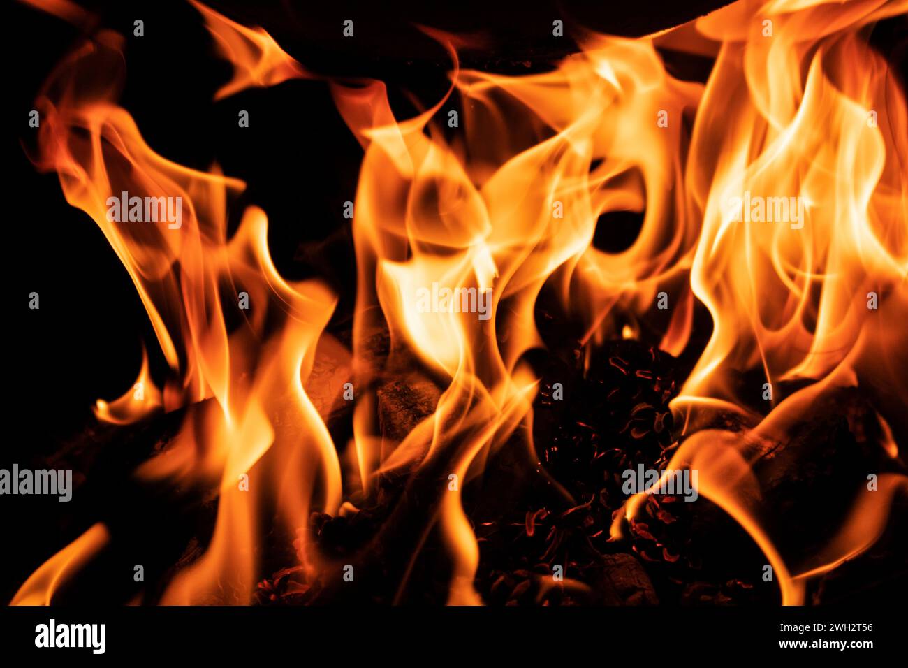 Cooking on a cauldron on a fire. Flames of fire in the dark. Stock Photo