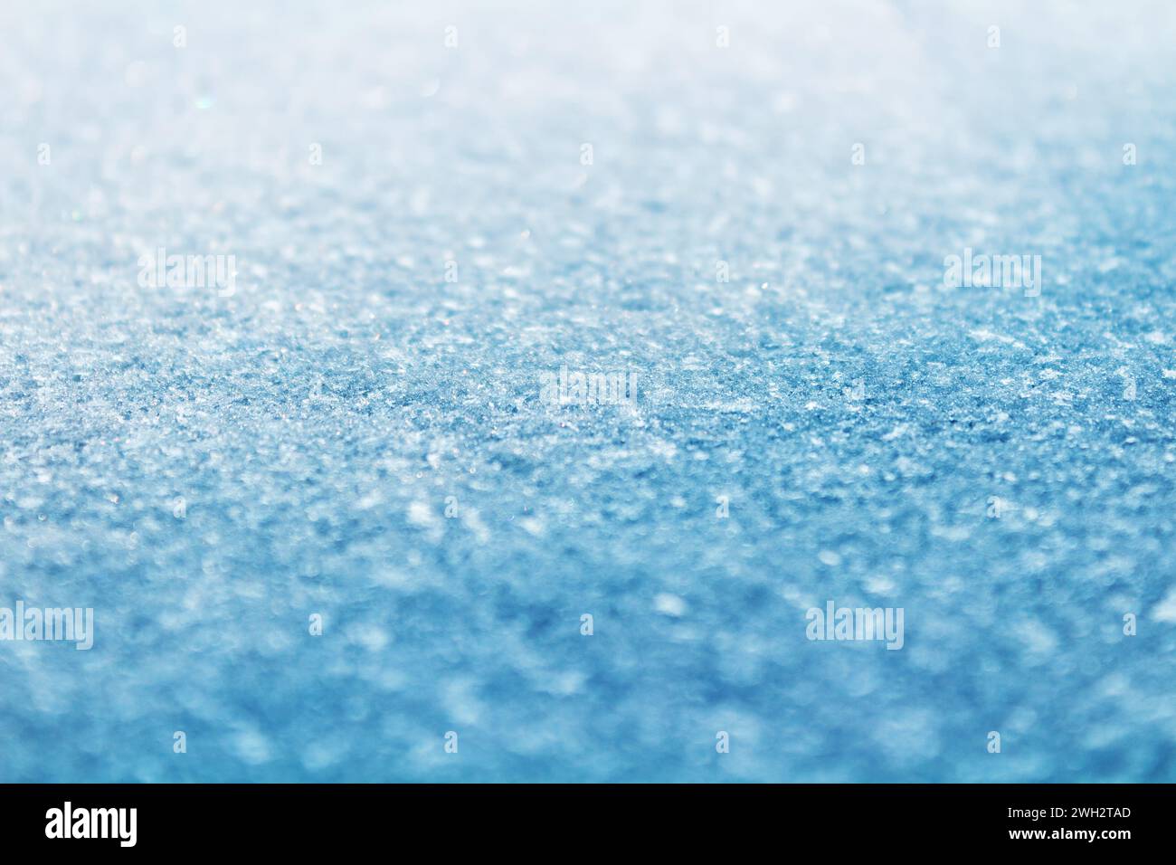 Background from fresh winter snow. Selective focus. Stock Photo
