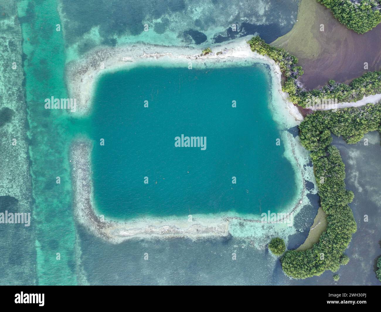 Aerial view of Horseshoe beach and blue hole ocean along Florida Keys