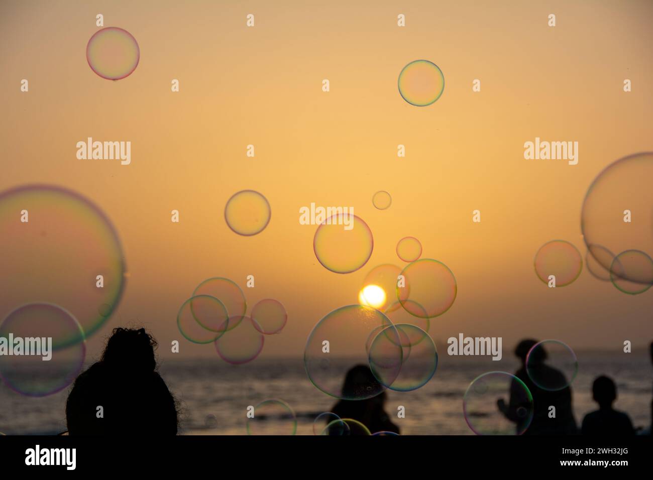 Many colorful soap bubbles float in the orange sky at sunset wiwth ...