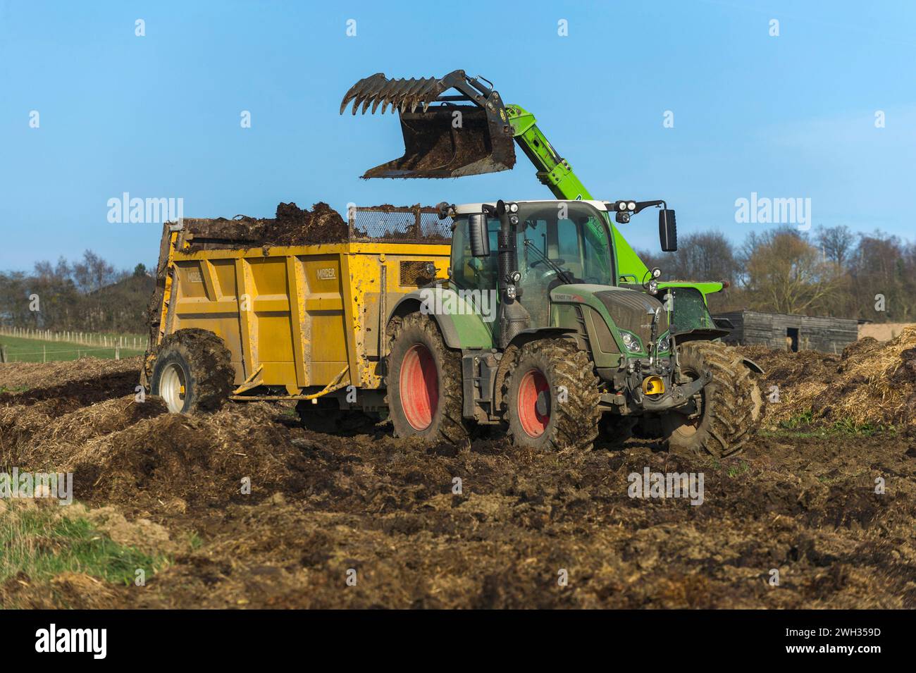 Collecting fertilizer in a tractor for manure spreading in the fields |  Collecte de fumier dans une epandeuse avant epandage du lisier dans les champ Stock Photo