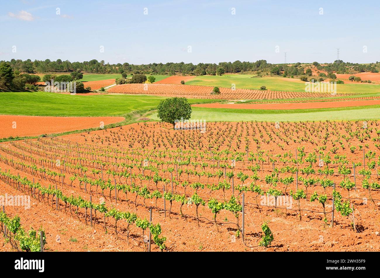 Cultivation field. Cuenca province, Castilla La Mancha, Spain. Stock Photo