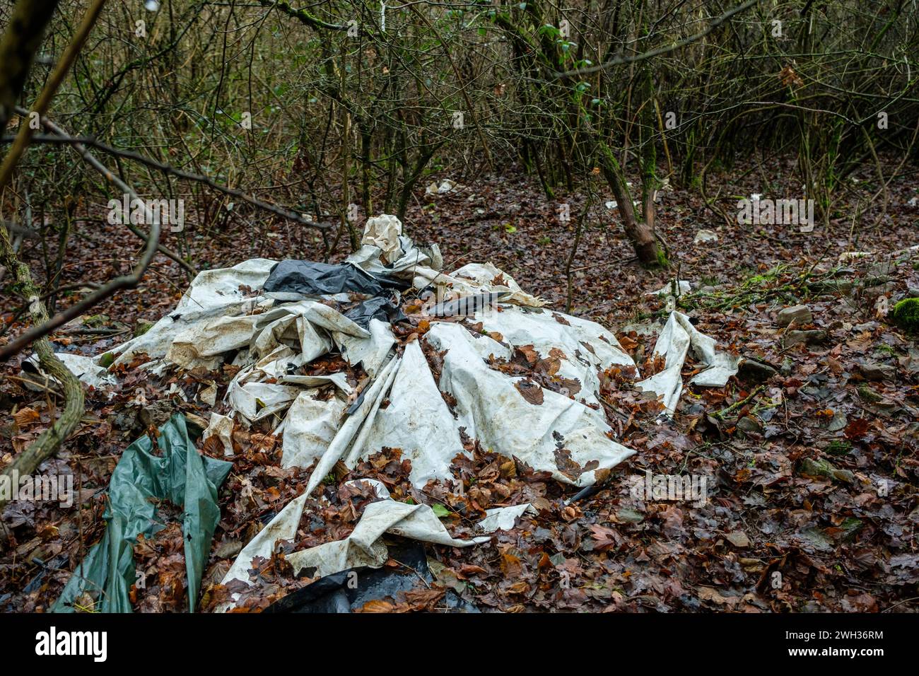 Vieilles baches plastiques abandonnees au detour d'un bois - Degradation fragmentee et lente |  Old plastic tarpaulins abandoned in a wood Stock Photo