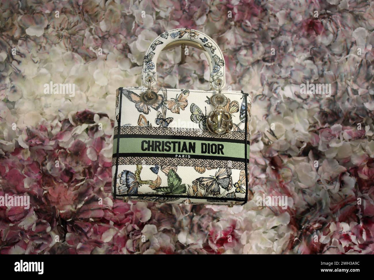 Christian Dior tote in a shop window Stock Photo