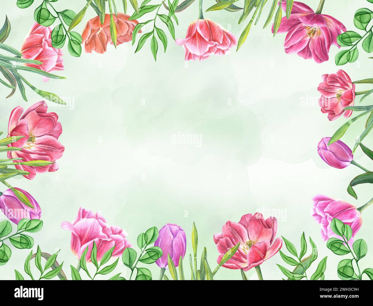 Pink tulips and daffodils on watercolor green surface. Spring flowers ...