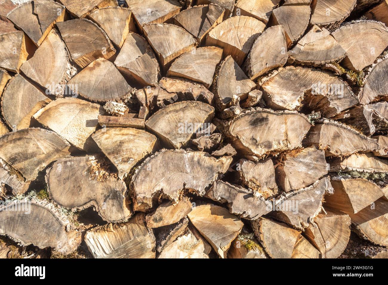 Close up shot of woodpile with logs of different sizes in Latvia Stock Photo