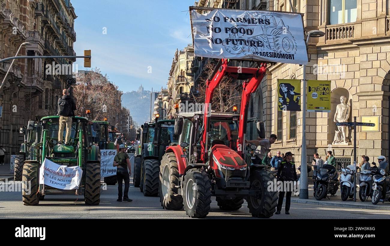Barcelona, Spain. 07th Feb, 2024. Catalan farmers parade their tractors through Gran Via during a demonstration. Farmers across Europe are protesting new agricultural laws proposed by the European Union. They fear these laws will favor big businesses over small-scale farms, leading to increased bureaucracy and making it harder for them to compete. The protests, highlight farmers' concerns about the future of their livelihoods and the need for fairer regulations. (Photo by Simone Boccaccio/SOPA Images/Sipa USA) Credit: Sipa USA/Alamy Live News Stock Photo