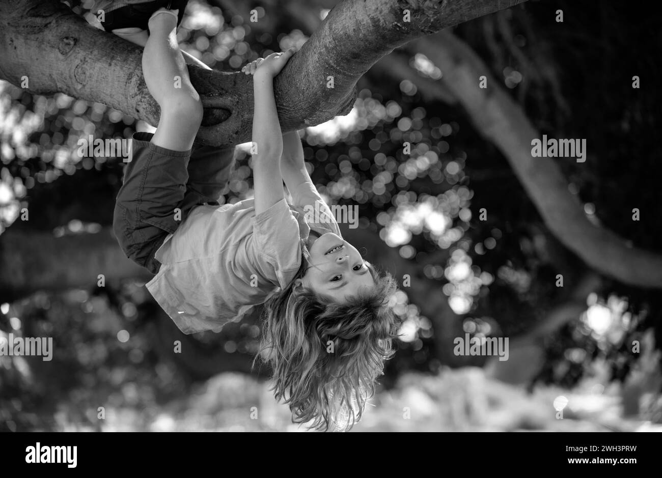 Kid boy playing and climbing a tree and hanging branch. Young boy