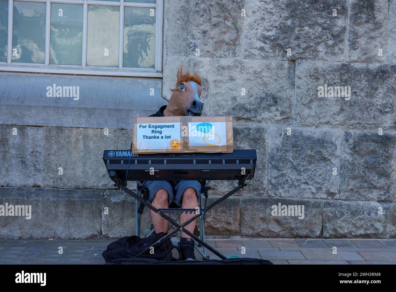 Keyboard Artist with Horse Head Performs on a Birmingham Street Stock Photo