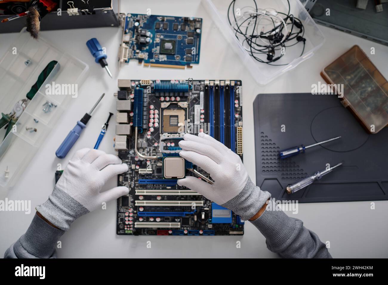 Unrecognizable electronic repairman holding CPU before placing it into PC mainboard socket Stock Photo