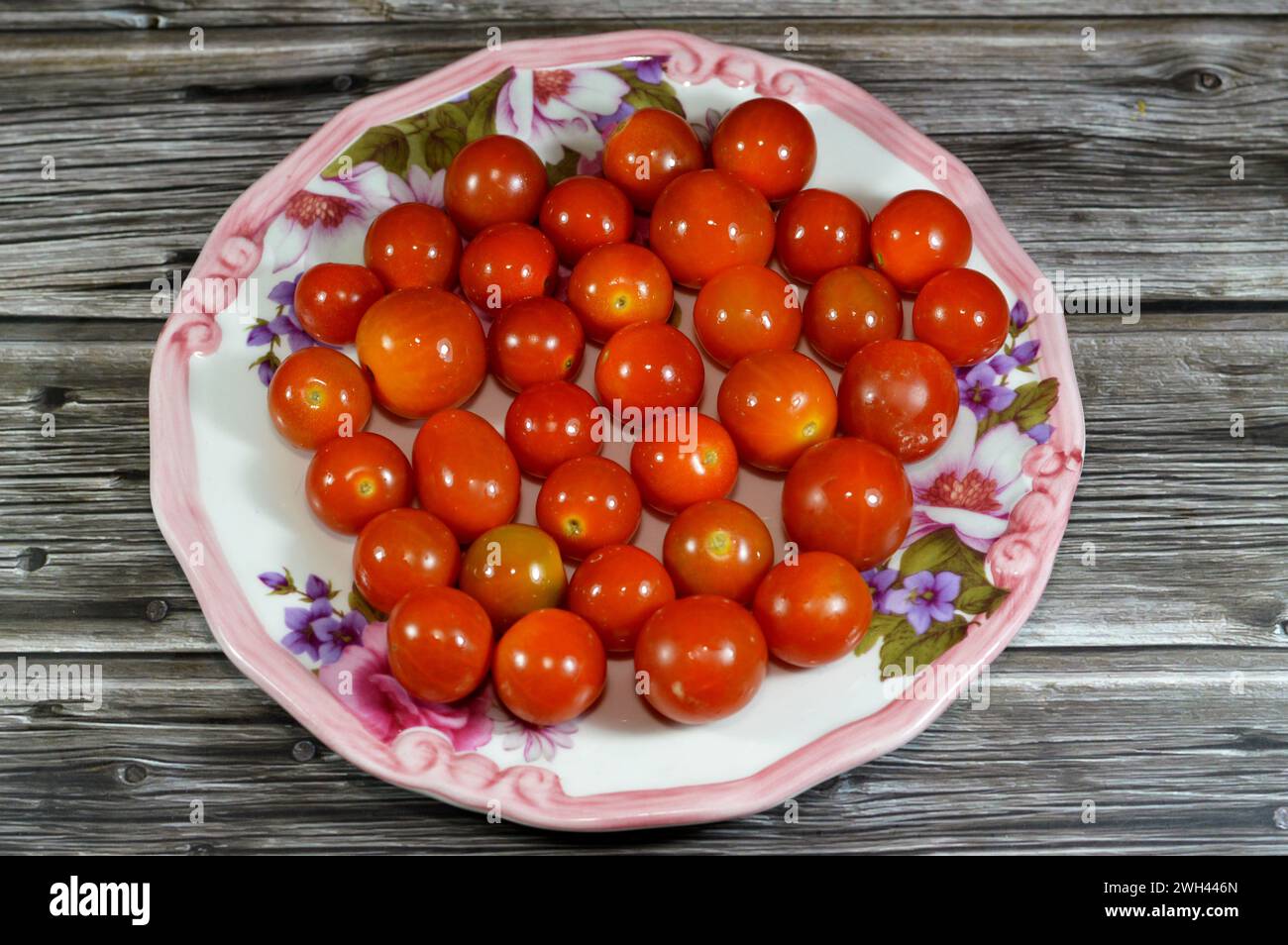 The cherry tomato, a type of small round tomato believed to be an intermediate genetic admixture between wild currant-type tomatoes and domesticated g Stock Photo