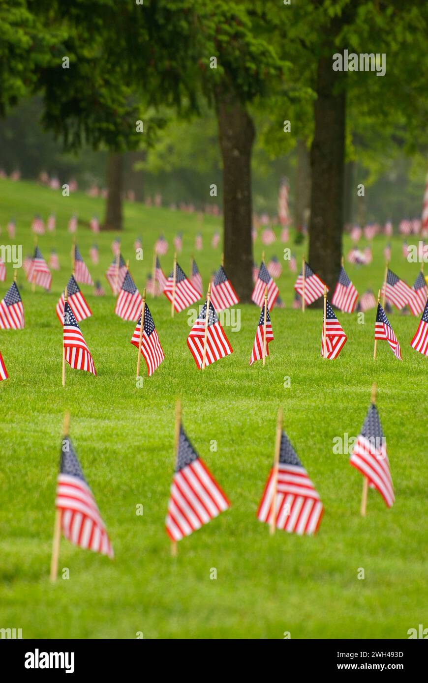 Memorial Day flags on graves, Willamette National Cemetery, Portland