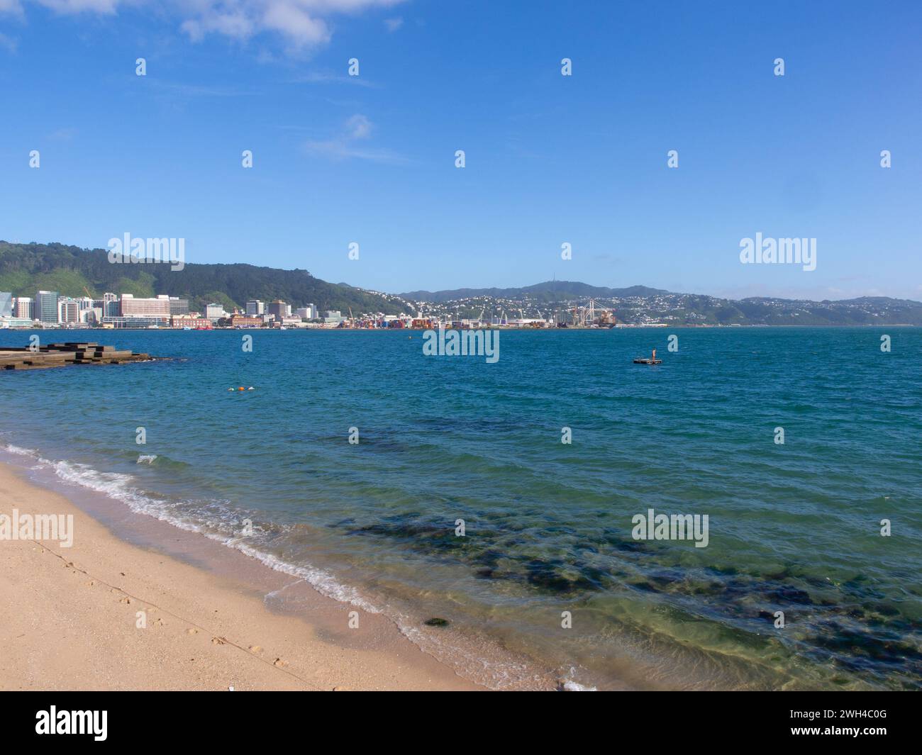 Oriental Bay Beach And Foreshore Stock Photo