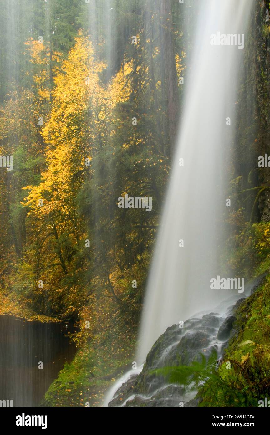 Middle North Falls, Silver Falls State Park, Oregon Stock Photo Alamy