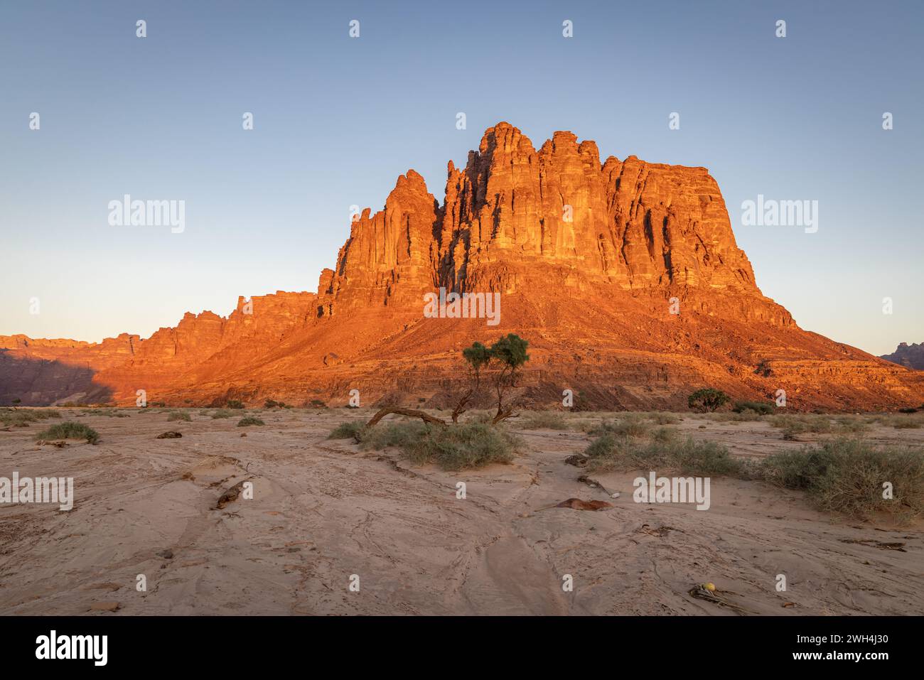 Middle East, Saudi Arabia, Tabuk, Al-Disah. Desert landscape in the Prince Mohammed bin Salman Natural Reserve. Stock Photo
