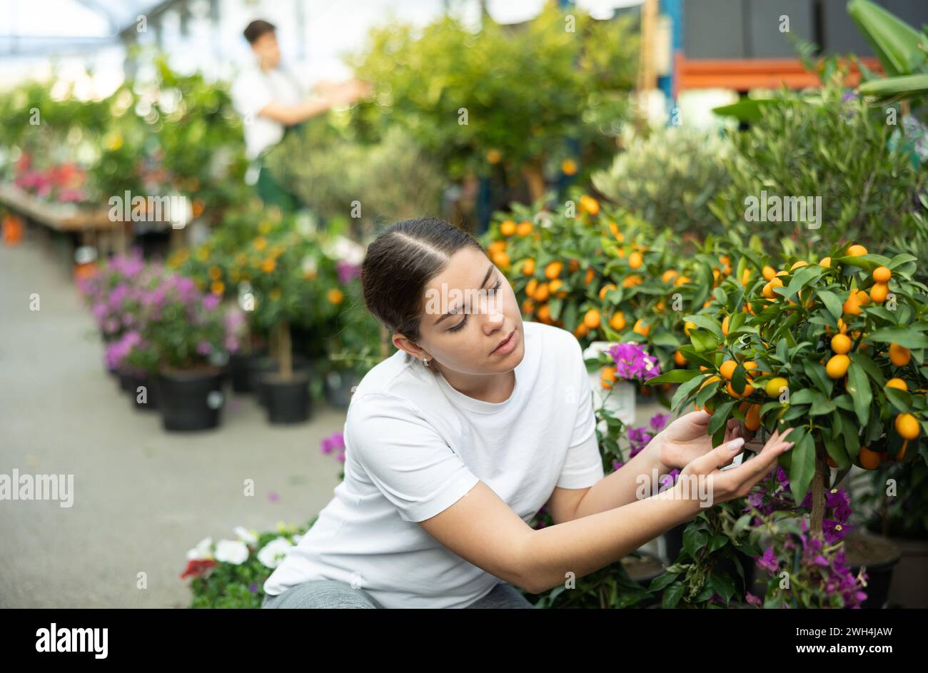 Young client garden center hi-res stock photography and images - Alamy
