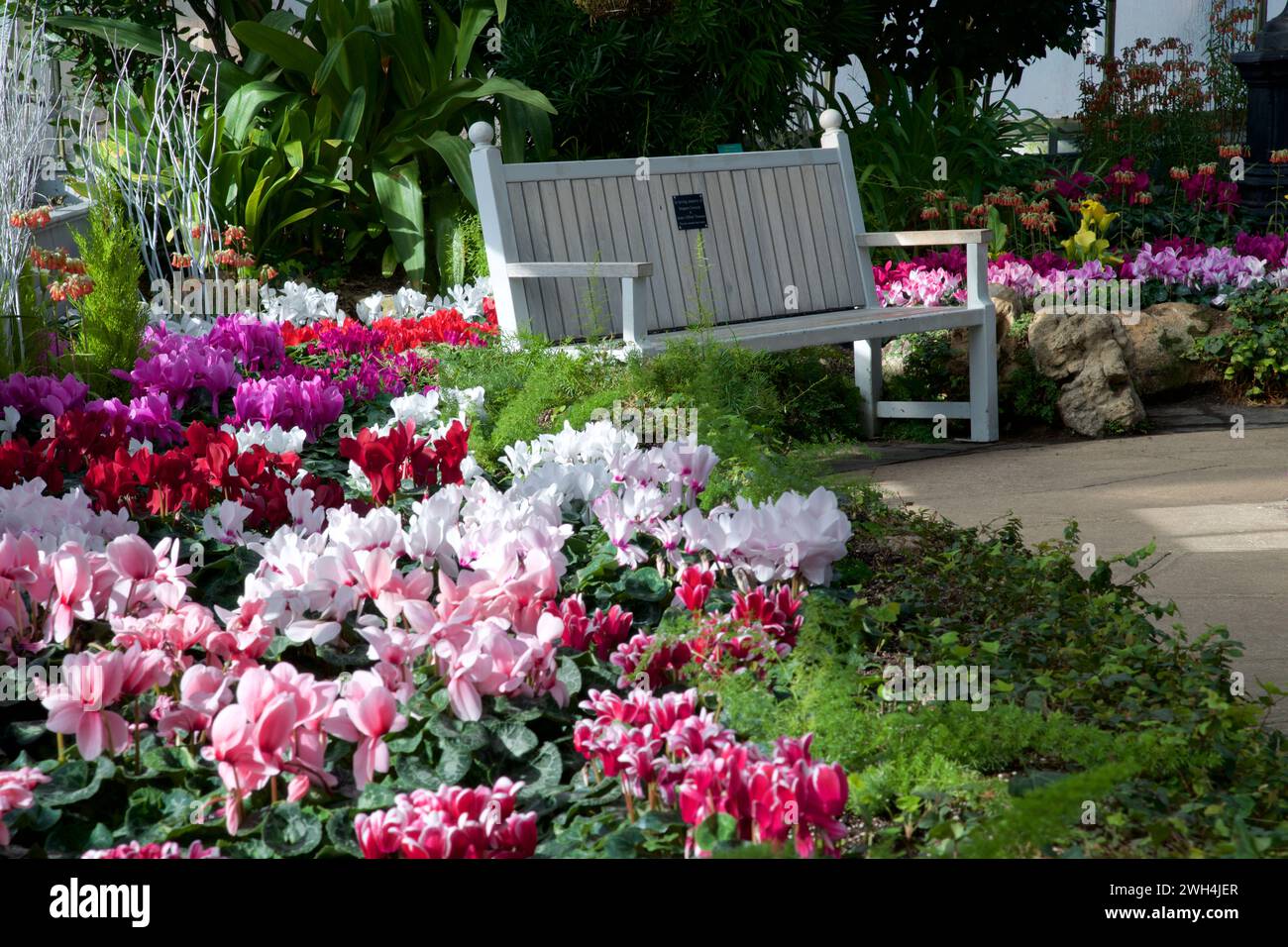 Tranquility scene of a white park bench in the conservatory Stock Photo