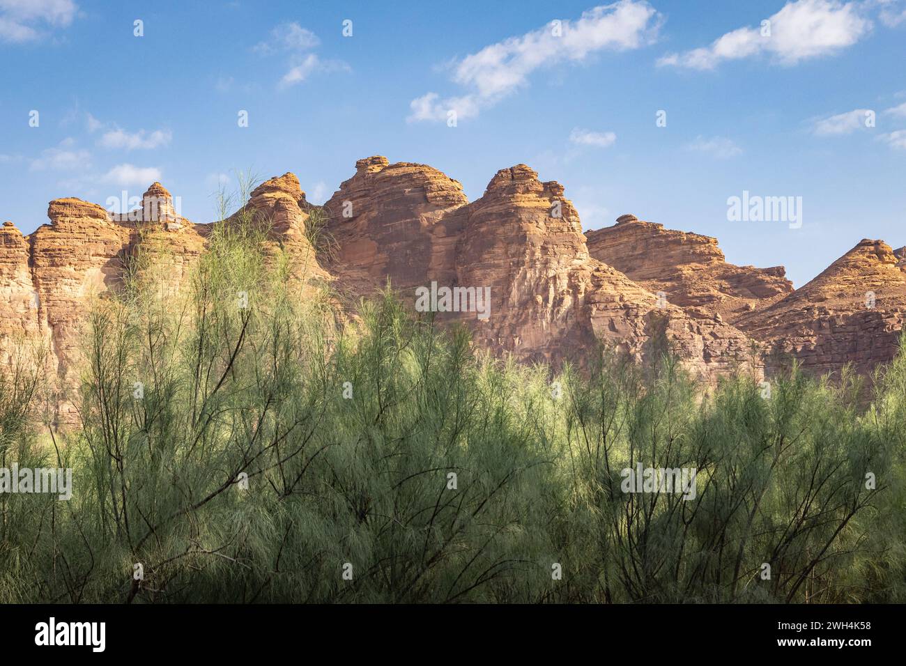Saudi arabia al ula oasis hi-res stock photography and images - Alamy