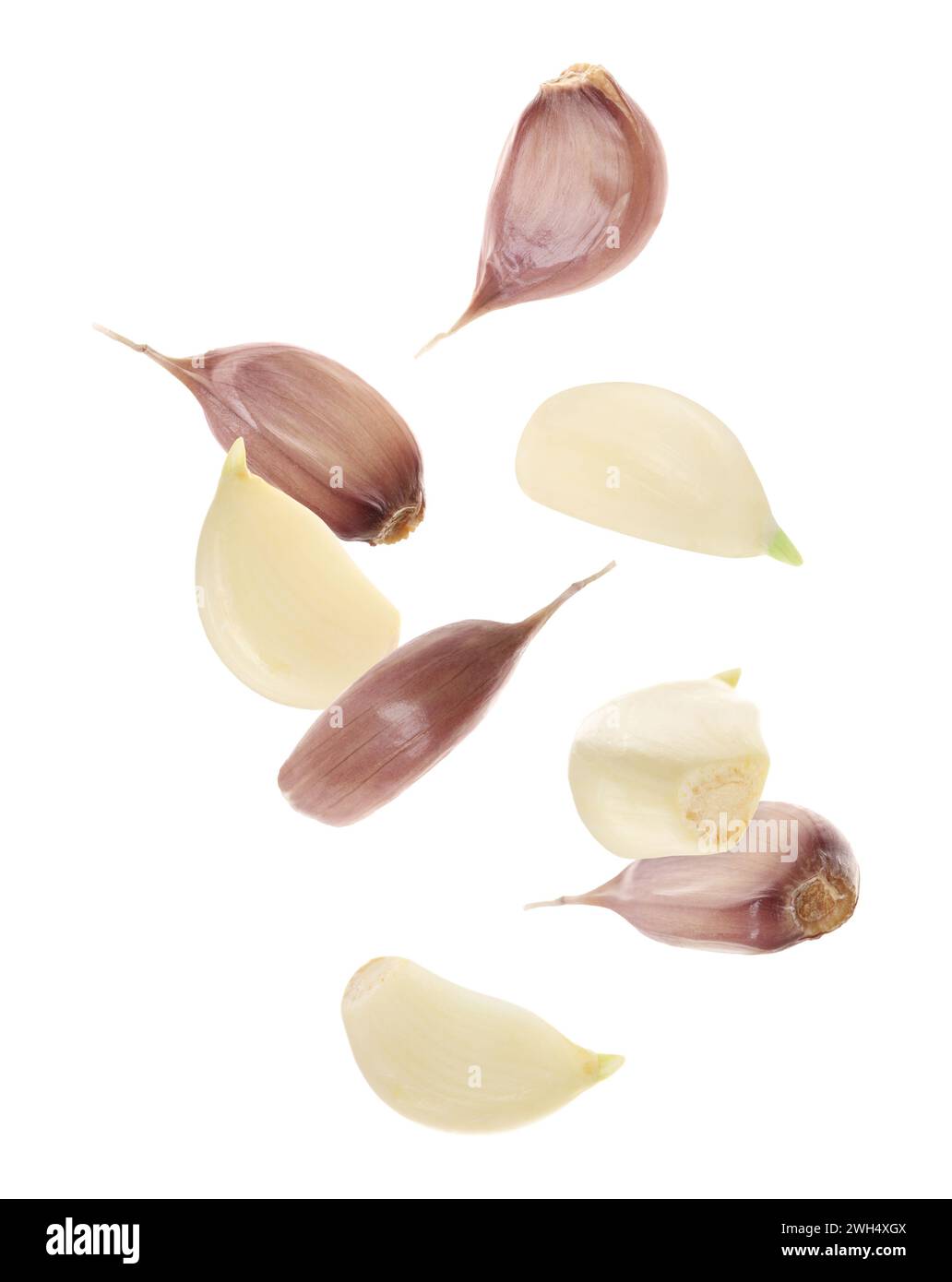 Fresh garlic cloves falling on white background Stock Photo