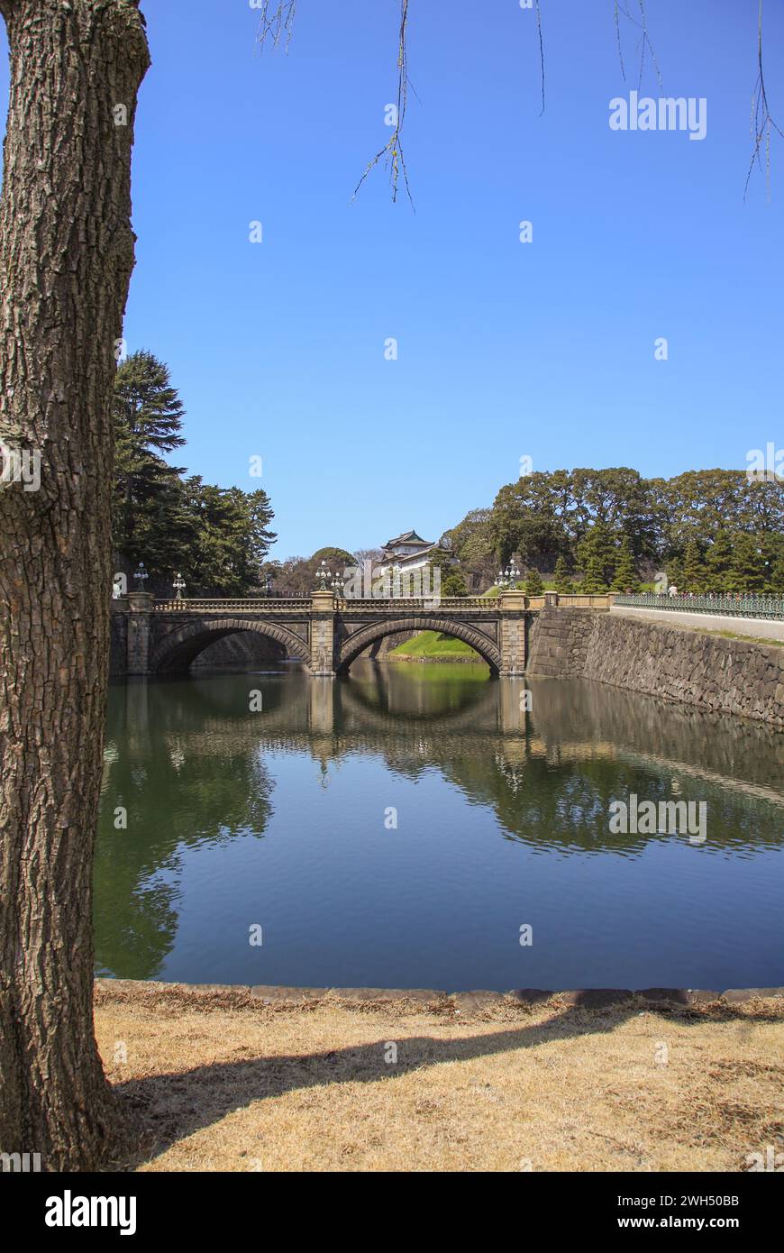 The Nijubashi bridge and Fujimi Yagura turret at the Japanese Imperial Palace in Tokyo, Japan. Stock Photo