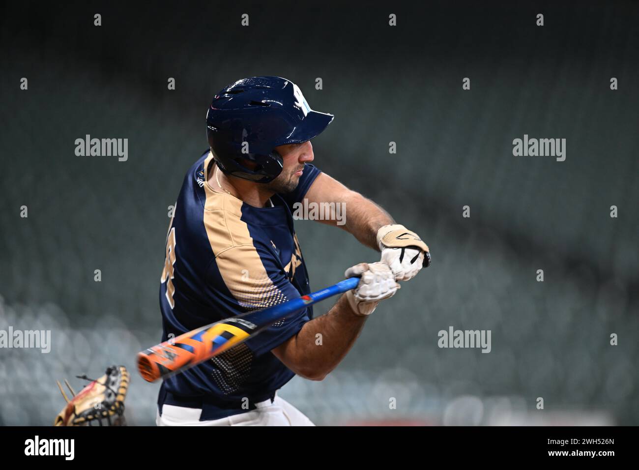 Houston winter invitational hires stock photography and images Alamy