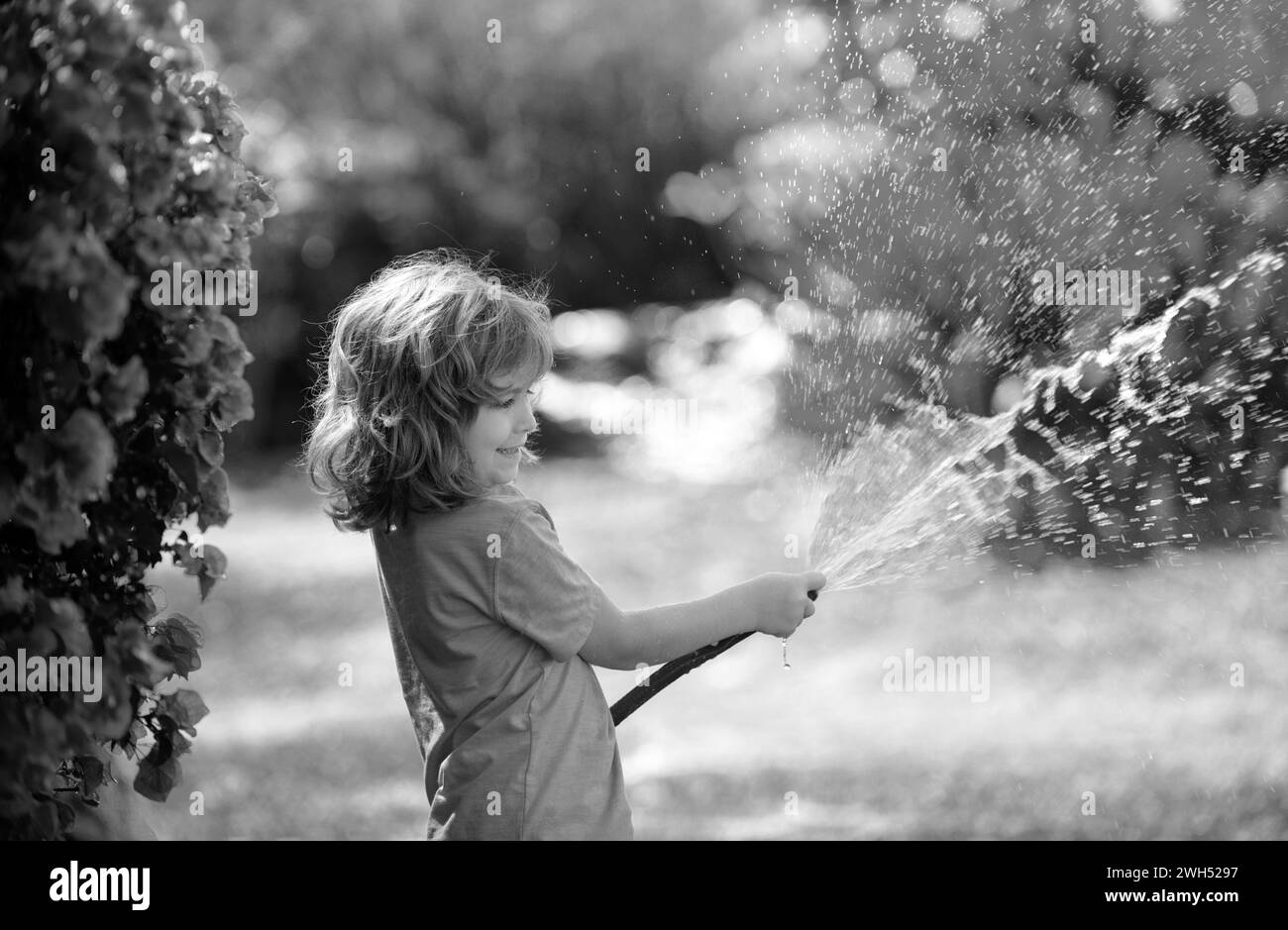 Funny little boy playing with garden hose in backyard. Child having fun with spray of water on yard nature background. Summer kids outdoors activity. Stock Photo