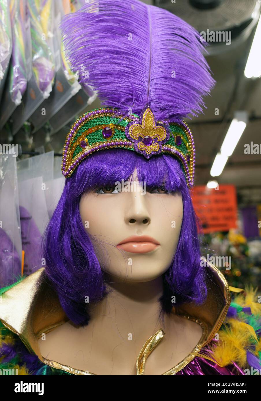 mardi gras parade warehouse