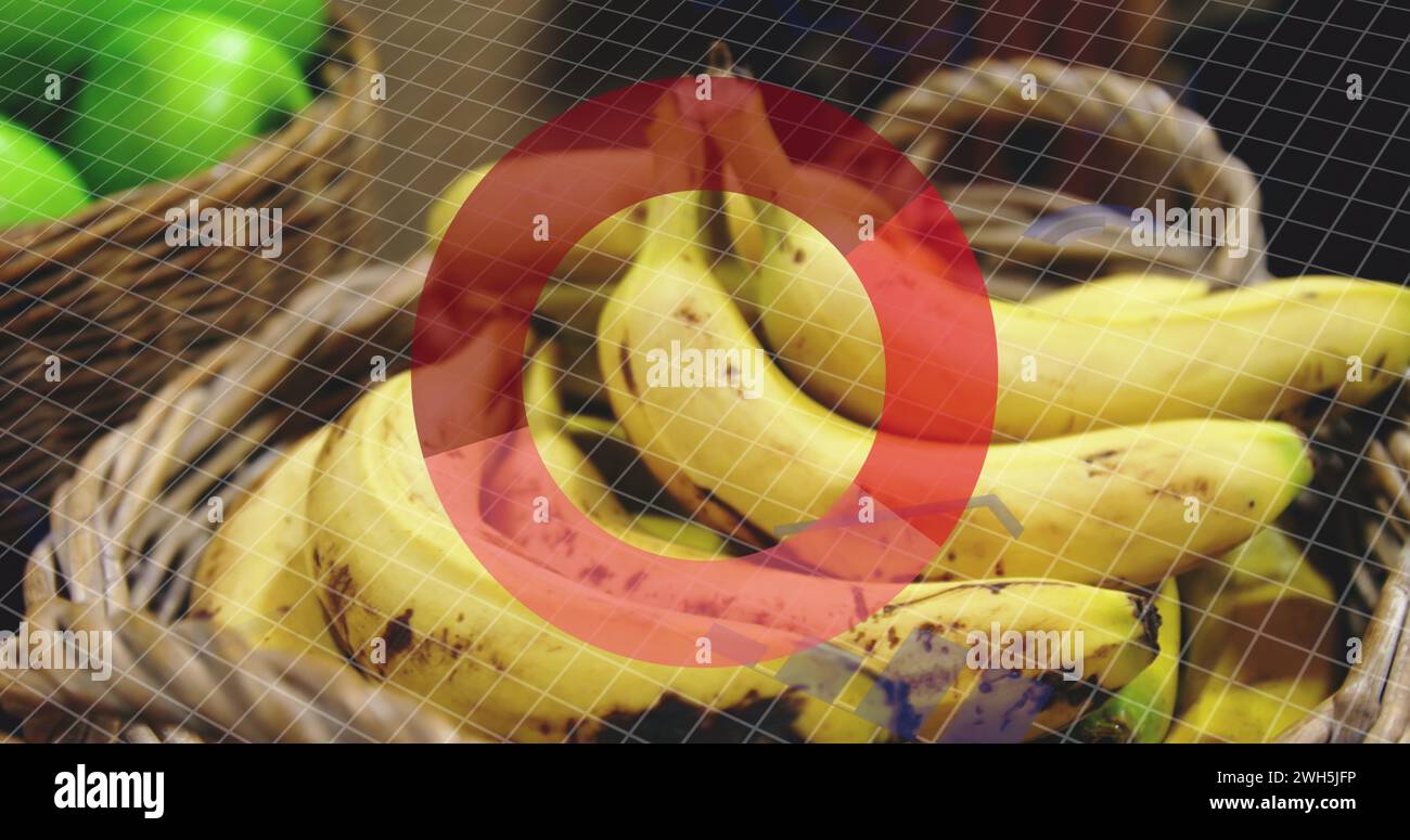 Image of statistics and data processing over fruit in baskets in food ...