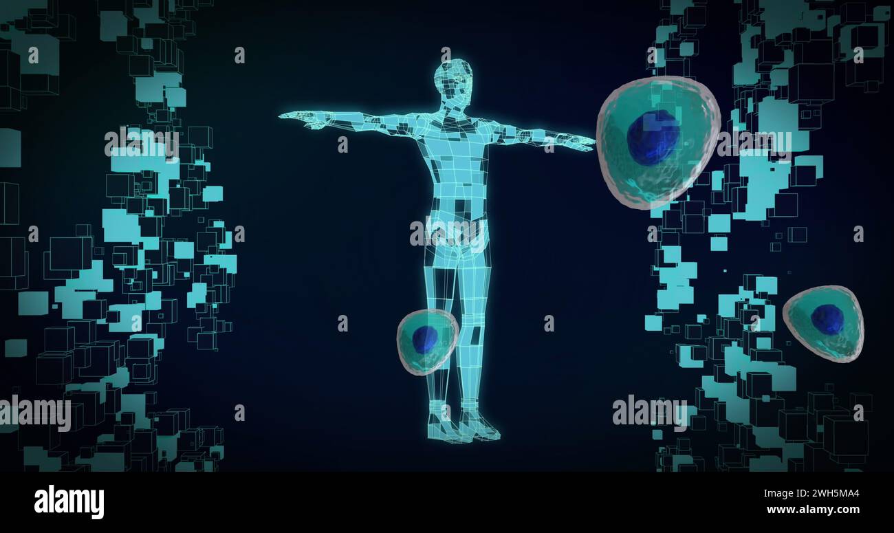 Image of floating cells over digital human on black background Stock Photo