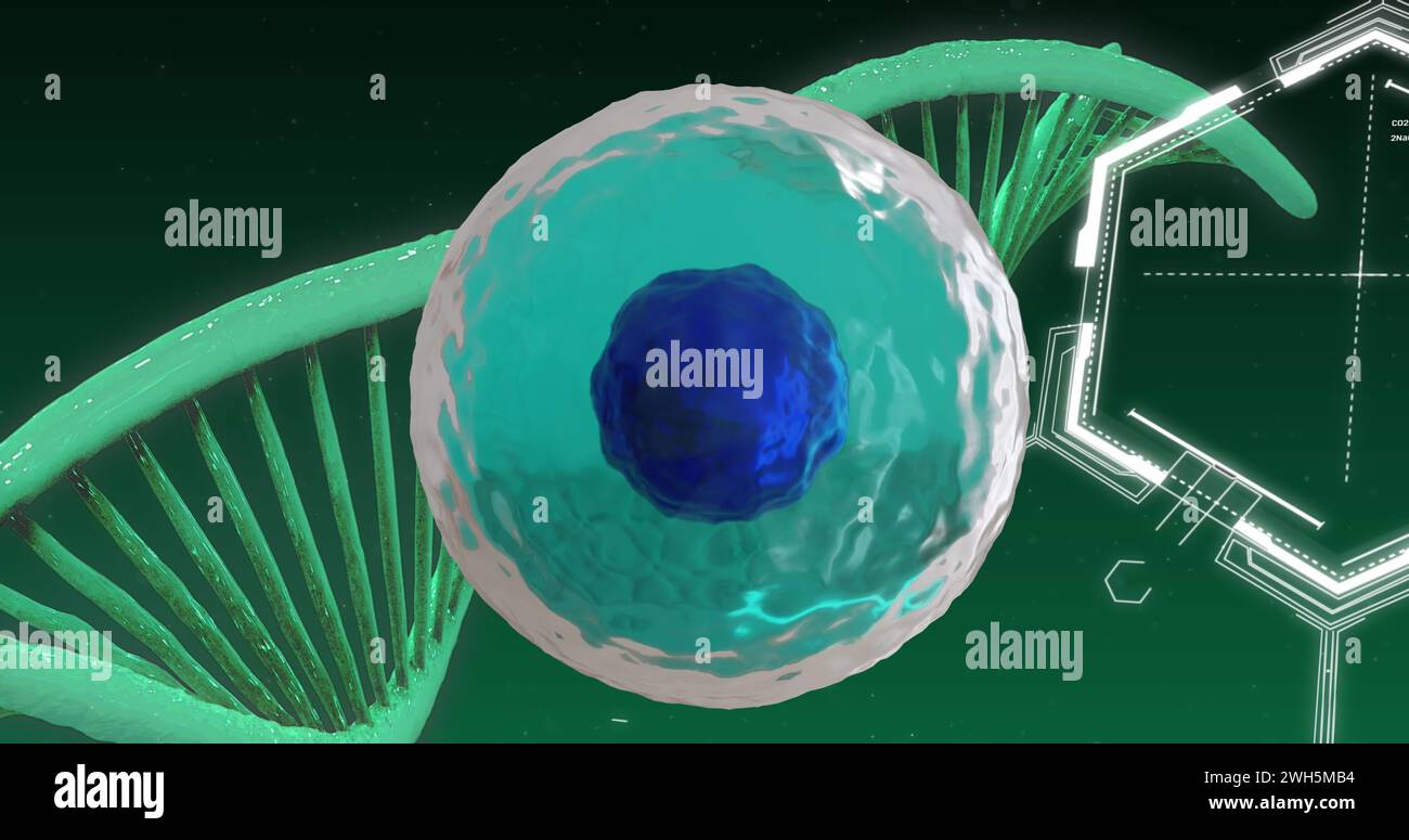 Image of cell with data processing and dna strand on green background ...
