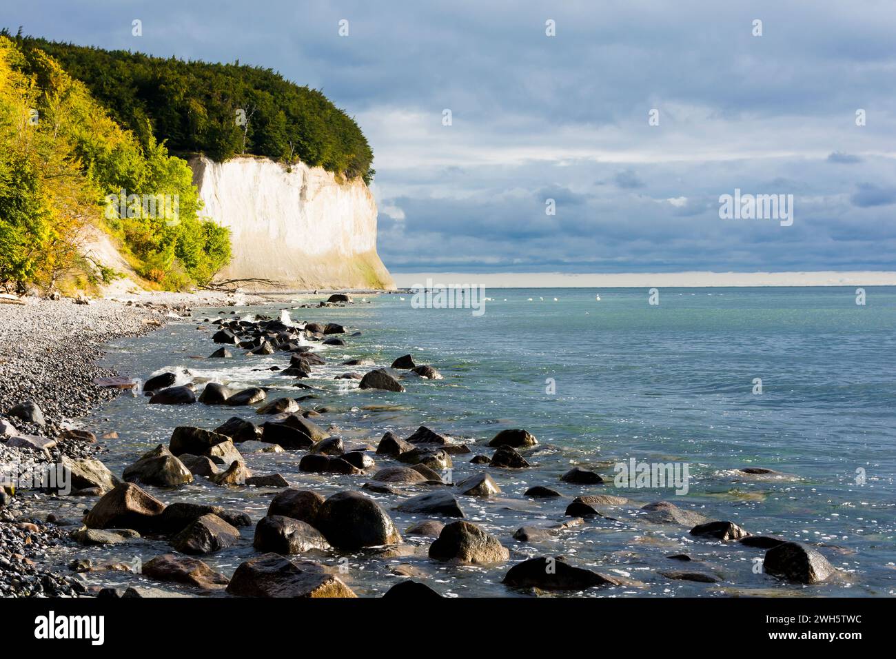 The chalk cliffs in Jasmund on the German island of Rugen on the Baltic Sea. Stock Photo