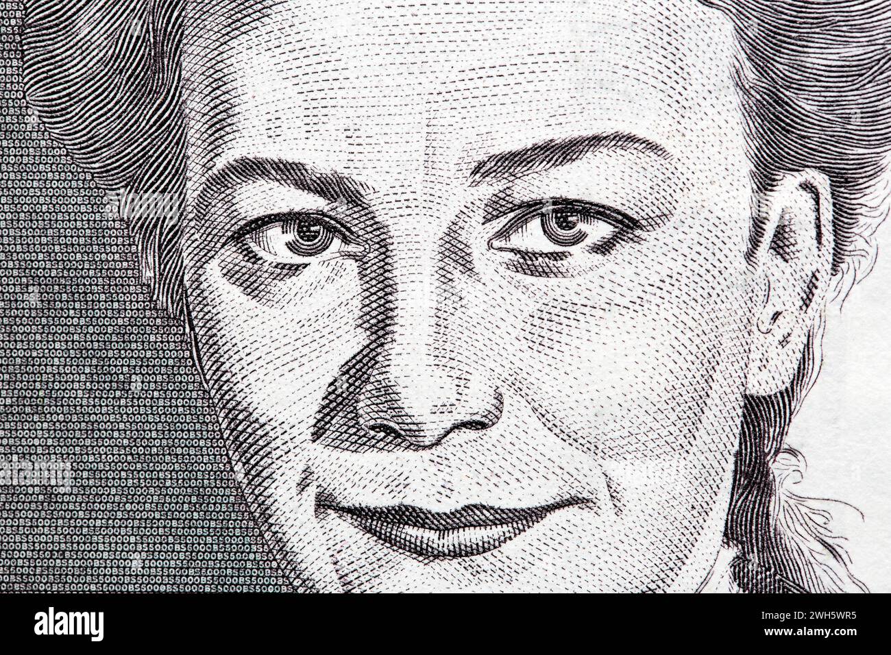 Ivana Kobilca a closeup portrait from Slovenian money - Tolar Stock Photo