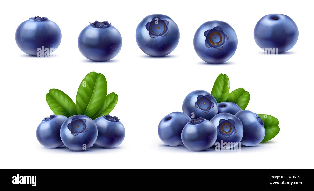 Realistic raw isolated ripe blueberry fruits. Vector 3d blue berries of blueberry, bilberry or huckleberry. Fresh fruit bunches with green leaves, juicy berries of wild forest or farm garden plant Stock Vector